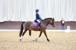 SBM_000350
