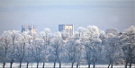 IMG_2118 MINSTER AND FROSTED TREES FROM YORK KNAVESMIRE copy 3