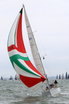 190803 TRAMP OF AIRLIE GBR7055T 1Y3A7188