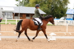 SBM_00879
