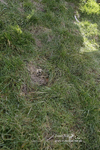PtP 290123 0875