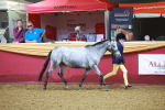 SBM_14692