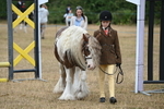 WJ6_8035