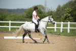 SBM_008773