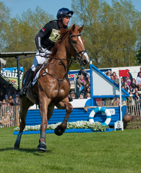 Mitsubishi 2015 Badminton Horse Trials portfolio