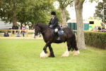 SBM_73488