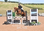 BPP_7536