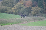 WJ7_9130