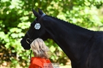 317-FERNHILL_KANKAN-Jonelle_Price-WEDTrotUp+DR portfolio