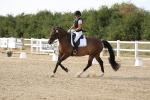 SBM_015804