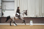 SBM_001913