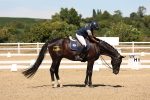 SBM_002829