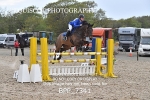 BPP_7341