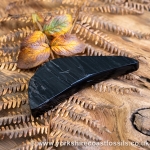 Sold Whitby Jet jsp682