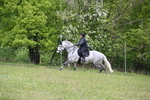 WJ6_1666