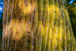 1020 IMG_3682