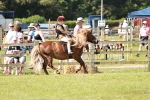 SBM_12769
