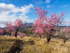 Andalucia 3 -34