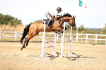 SBM_000976