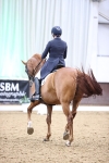 SBM_012037