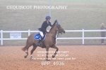 BPP_4936