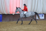 SBM_003436