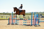 SBM_000677