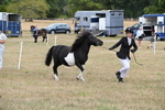 WJ6_5331