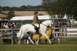 SBM_09530