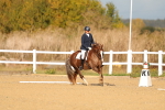 SBM_009293