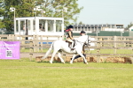 SBM_11043