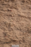 231015A-163918-09351