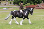 SIAL8072