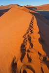 Sossusvlei Dunes Namib Desert