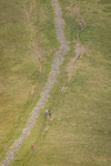 Ennerdale-261