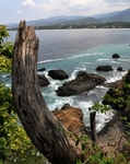 Coastal Beauty