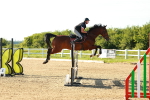 SBM_003362