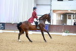SBM_006137