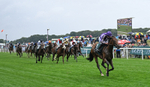 Race 2 14.25pm Harry's Half Million By Goffs portfolio