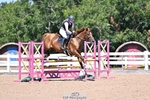 Sunday Wessex (Horses and Club) Arena portfolio