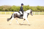 SBM_007856