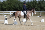 SBM_020926