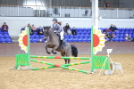 SBM_001182
