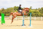 SBM_006509