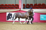 SBM_00446