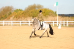 SBM_008719