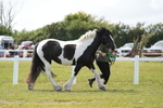 DSC07179
