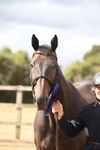 Class 5 - Retraining of Racehorses portfolio