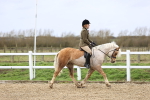 SBM_006894