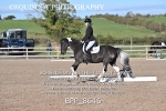 BPP_8646